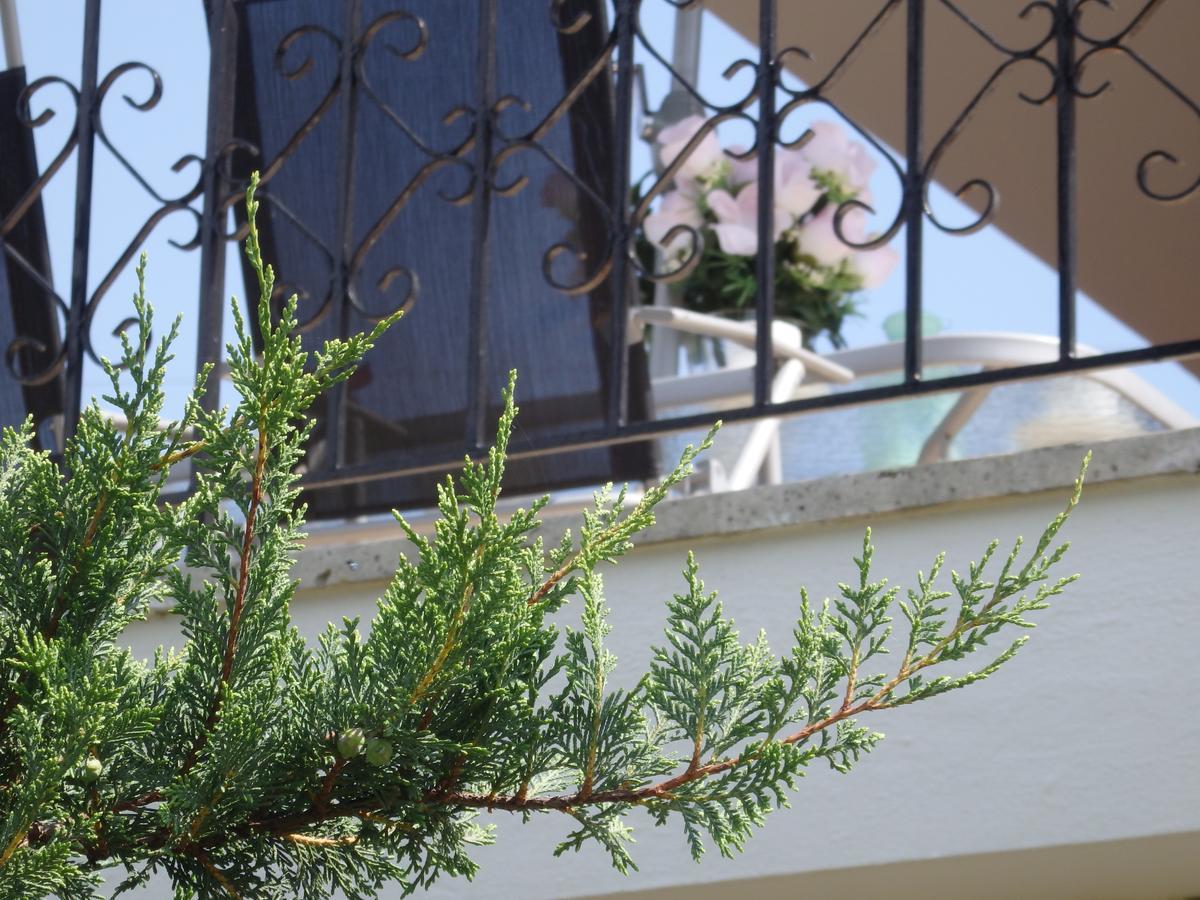 Villa George Афитос Экстерьер фото